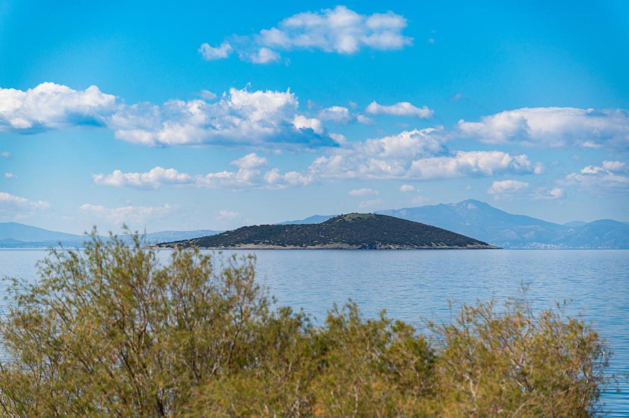 Апартаменты Ο Μόλος Marmari  Экстерьер фото